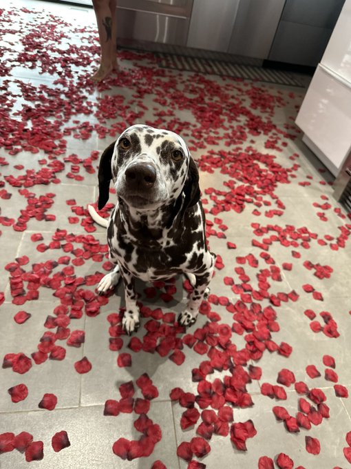1 pic. jus becuz rivvyy looked so cute on valentines day ???♥️♥️ .

cap was to busy lookin at the ducks