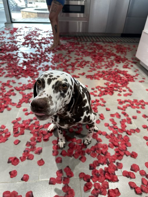 2 pic. jus becuz rivvyy looked so cute on valentines day ???♥️♥️ .

cap was to busy lookin at the ducks