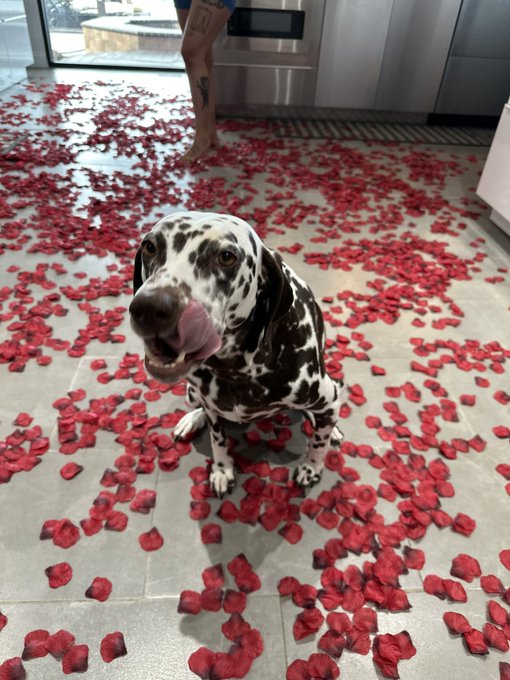 3 pic. jus becuz rivvyy looked so cute on valentines day ???♥️♥️ .

cap was to busy lookin at the ducks