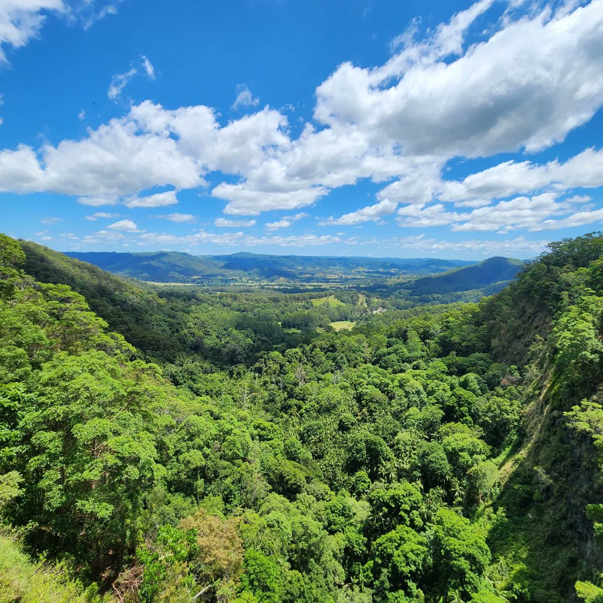 AussieSolaris's tweet image. Just stunning. ✨️ 
🍃  Mapleton Falls National Park. 
#Australia #qld #mapleton #roadtrip #NationalParks #sunshinecoast