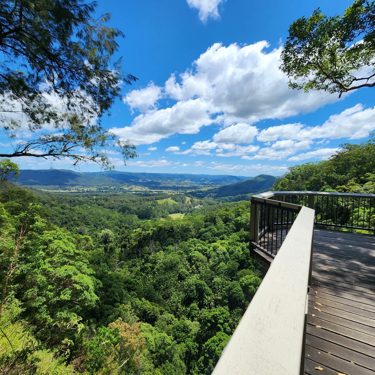 AussieSolaris's tweet image. Just stunning. ✨️ 
🍃  Mapleton Falls National Park. 
#Australia #qld #mapleton #roadtrip #NationalParks #sunshinecoast