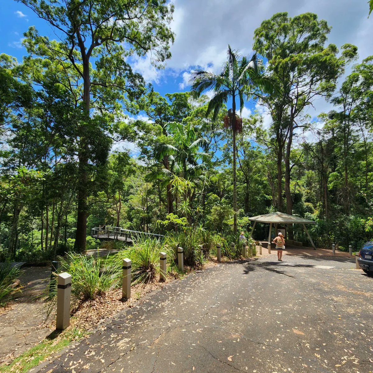 AussieSolaris's tweet image. Just stunning. ✨️ 
🍃  Mapleton Falls National Park. 
#Australia #qld #mapleton #roadtrip #NationalParks #sunshinecoast