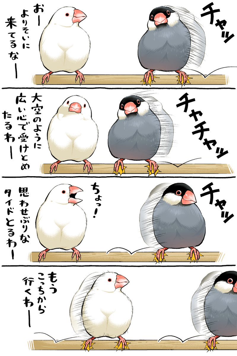 よりそう文鳥さん 