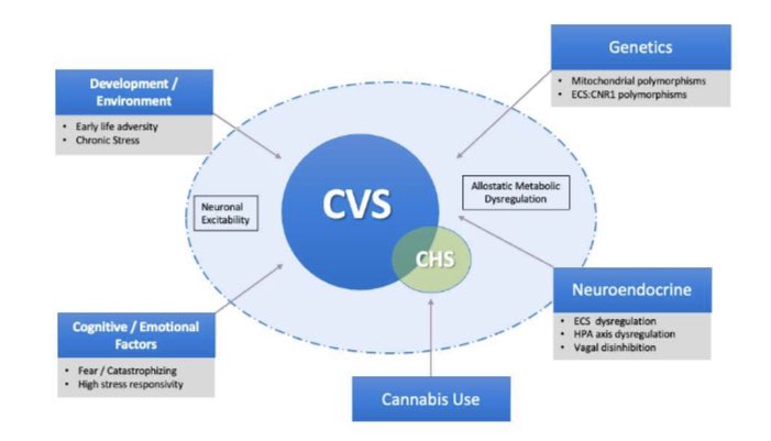 john_damianosMD's tweet photo. Diagnosis and management of cyclic vomiting syndrome. 🤮 

#MedTwitter #GITwitter #motility 

https://t.co/6YUZqplmfz https://t.co/oiPWMaf5JX