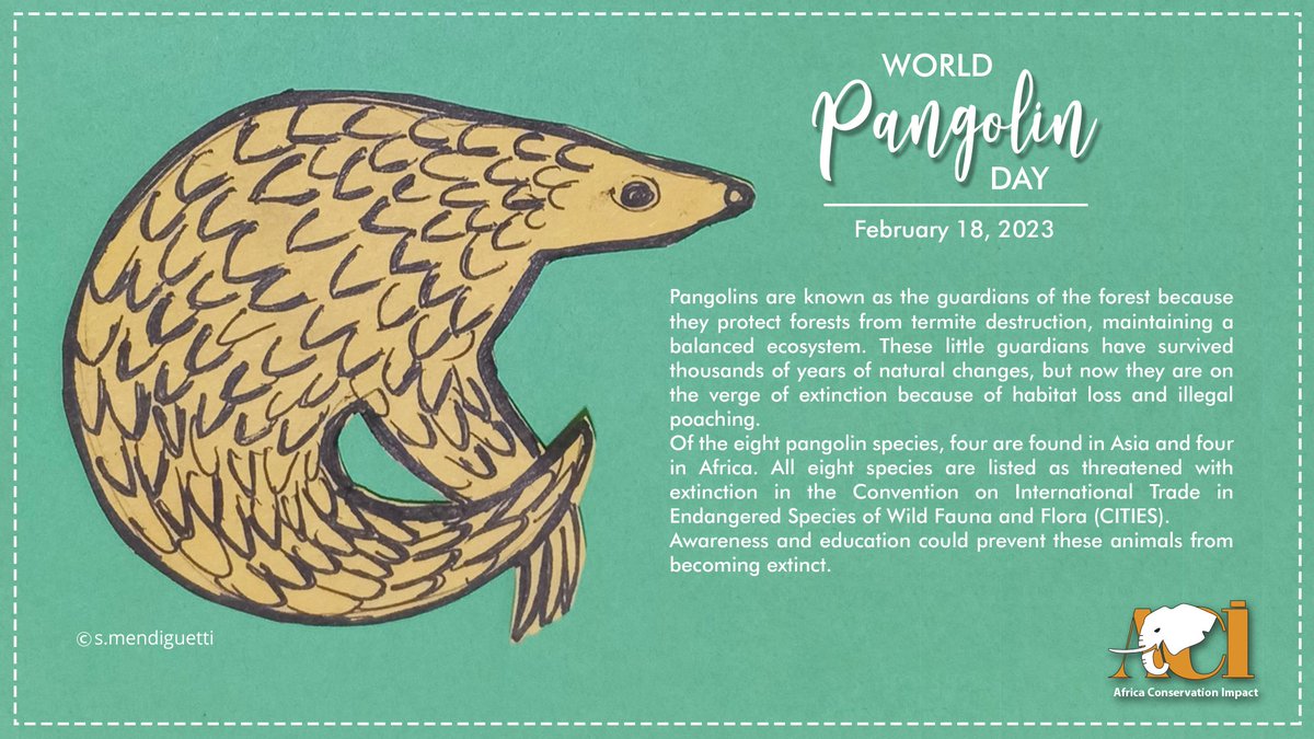 Pangolins are known as the guardians of the forest, they protect forests from termite destruction, maintaining a balanced ecosystem.They are the world’s most trafficked mammal and now they are on the verge of extinction due to habitat loss and illegal poaching.#WorldPangolinDay