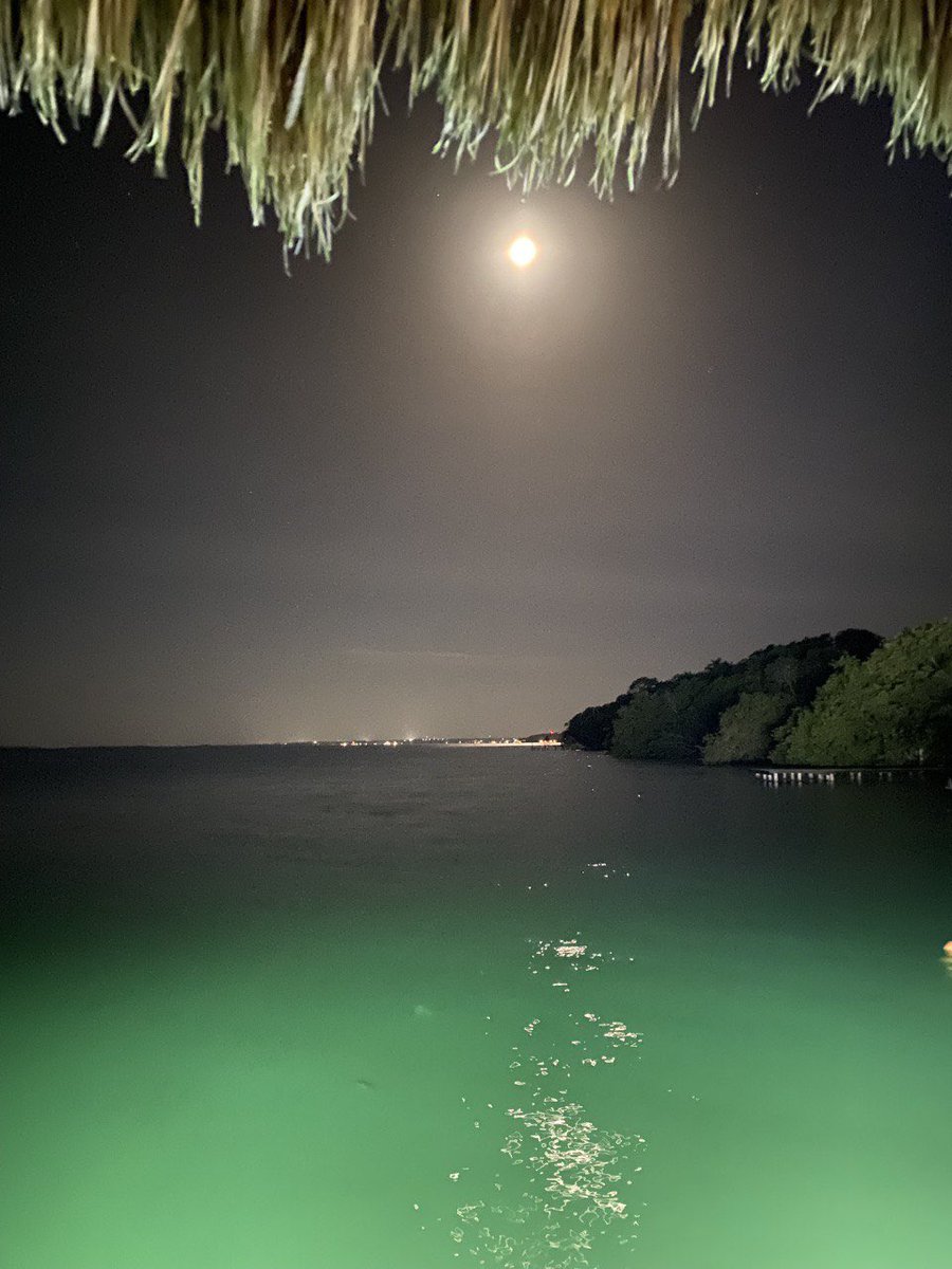 Soy Playense tweet media