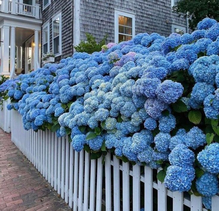 Larries flower shop 🌸💐 tweet media