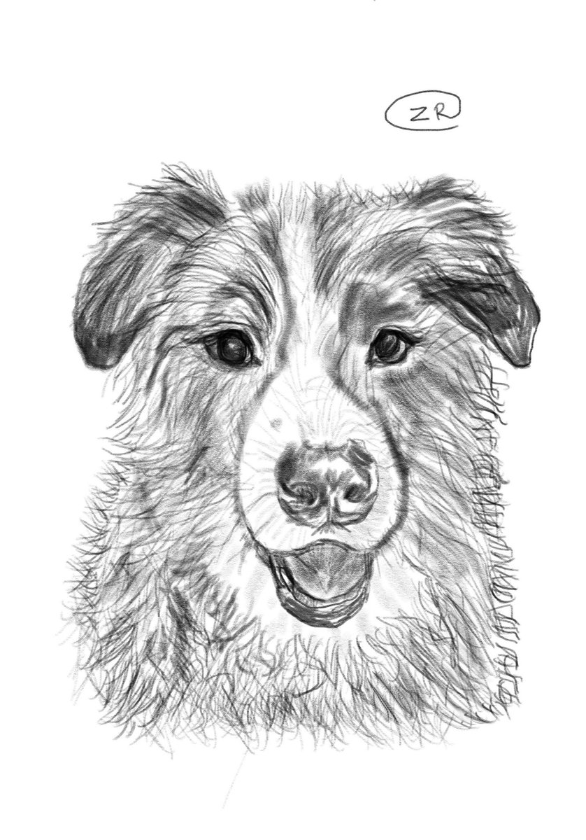 zaydenregula's tweet photo. If only I drew people this well 😋🤞🏼 https://t.co/tI6uxQMsqm
