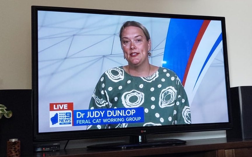 Judy Dunlop tweet media