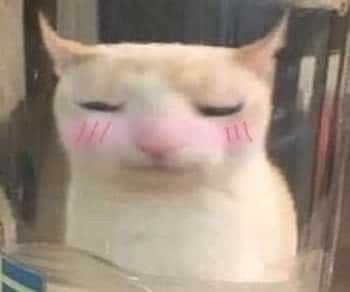 ᅠᅠᅠᅠᅠ‎ᅠᅠᅠ ‎‎ ‎𝗔𝗛𝗥𝗜 ­.ᅠᅠᅠᅠᅠ‎ ‎‎ (@gumlhos) on Twitter photo 