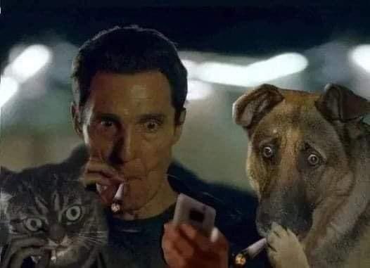 $BTC trading like a illiquid shitcoin 

must be 2018 again… 

smells like a mass liquidation event in the works