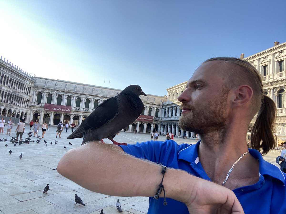 btw, birds r my mates for sure🖤😼🪬🏴‍☠️✊🌹