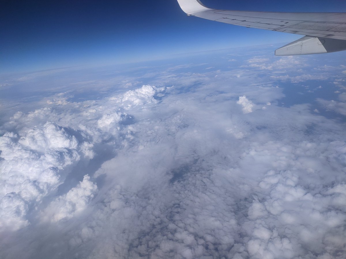 HurayraIIT's tweet image. Can&apos;t wait to join @WordCampAsia 2023
#wcasia
#wpdeveloper 
#lifeatwpdeveloper