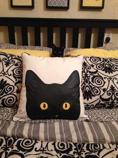 Jesús Quintero tweet media