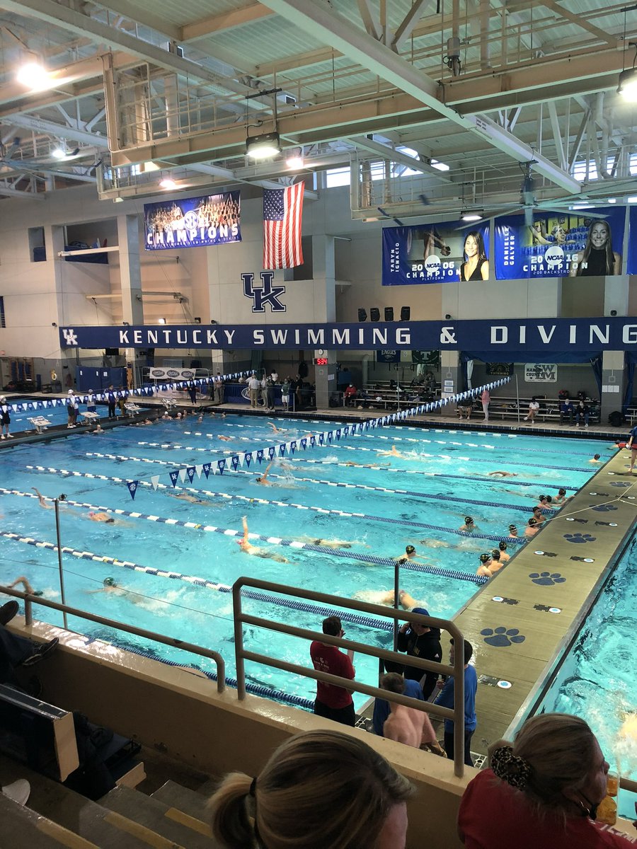 Greenwood Swimming tweet media