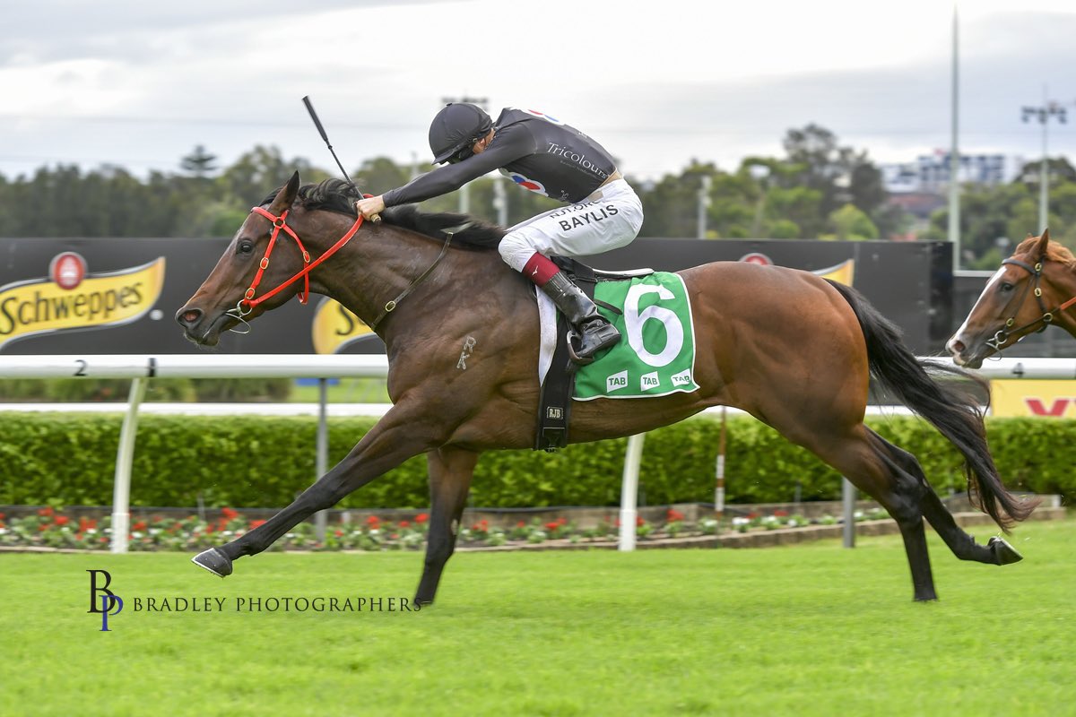 Tricolours Racing tweet media