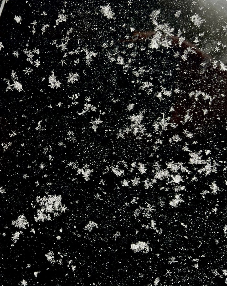 Beautiful glistening trees on campus today. 

And perfect snowflakes captured a couple weeks ago. Saw some today too. 

I can think of several chemistry-related questions. 😉