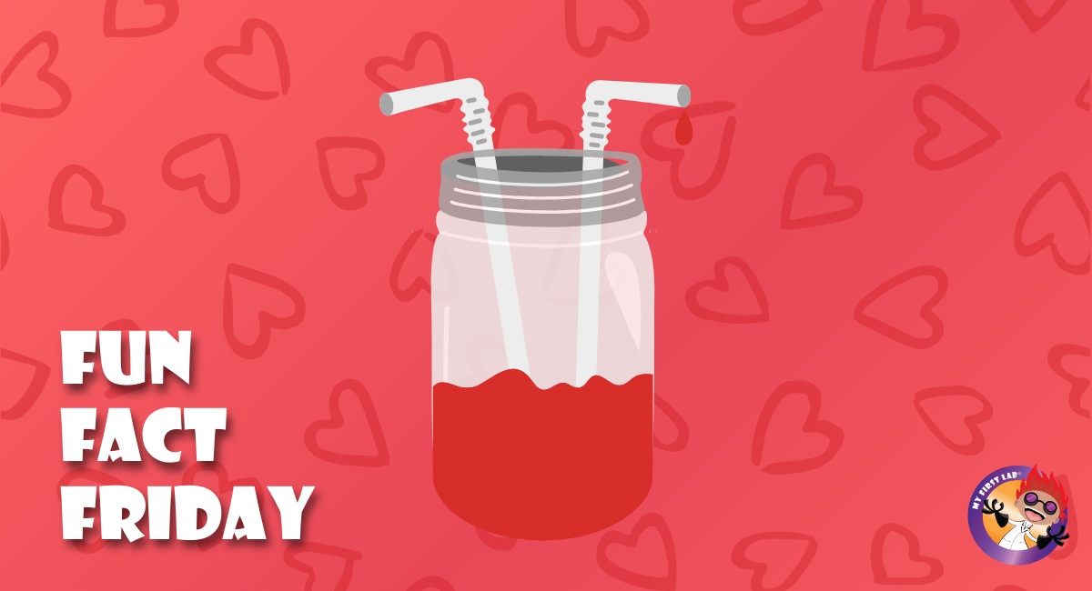 MyFirstLab's tweet photo. Make a heart model with us! 💓💓💓

Ever wonder what makes the sound of your heartbeat? 💓

There are 4 valves in the heart 🫀, and when they open and close, they create your heartbeat! 💓

🧪Learn more by creating a heart model: https://t.co/KNivvvrYC7

#ScienceIsFun #MyFirstLab https://t.co/wzBJB9Mqrc