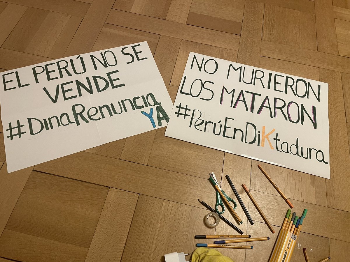 NColombet's tweet image. Lista para la marcha 🇵🇪 #sosperú #DinaRenunciaYa #PeruEnDictadura