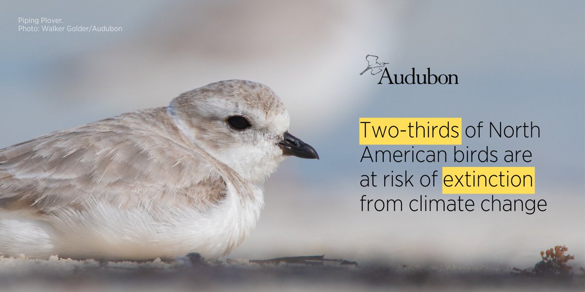 Audubon Society on Twitter "Wondering how climate change is impacting your local birds? Enter