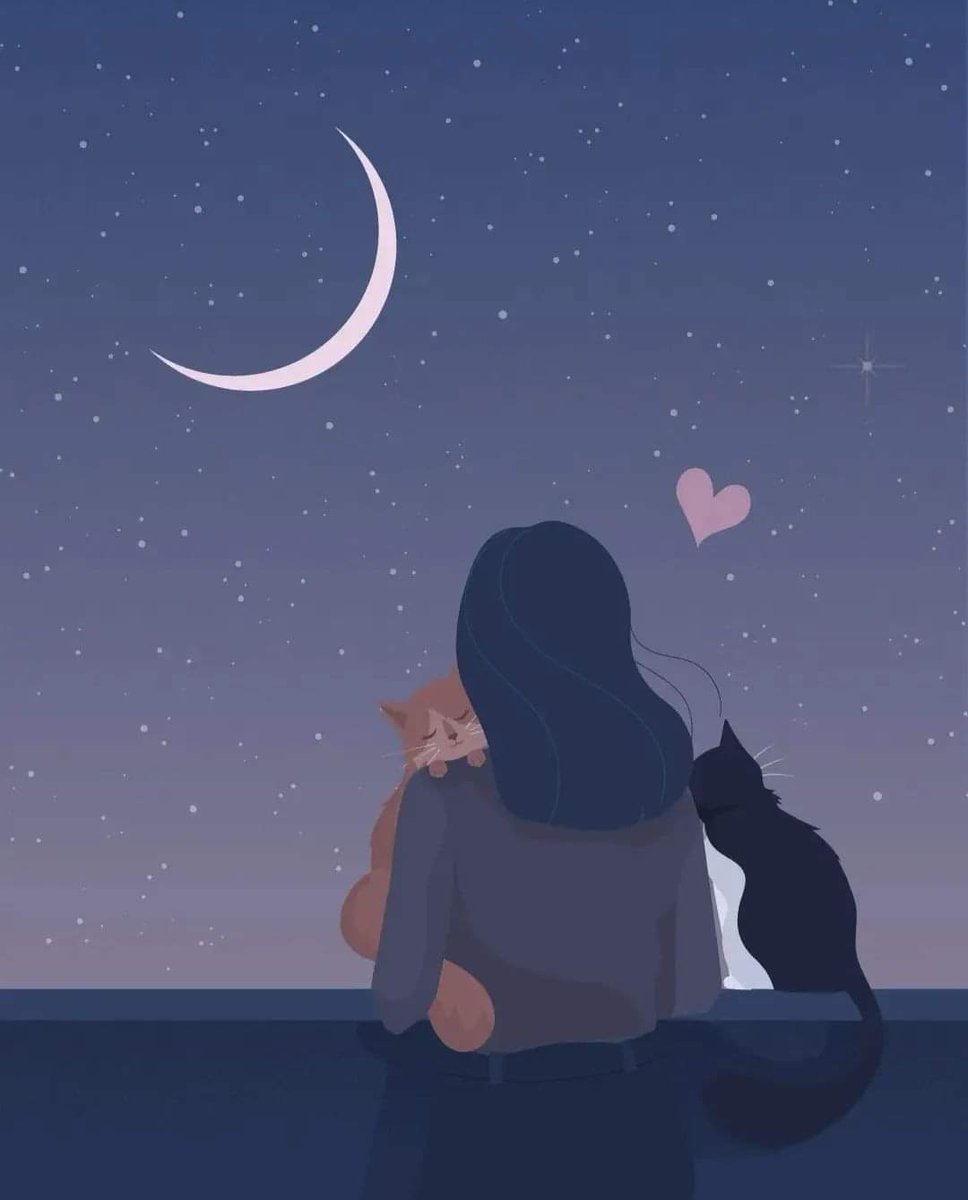 An ideal evening date