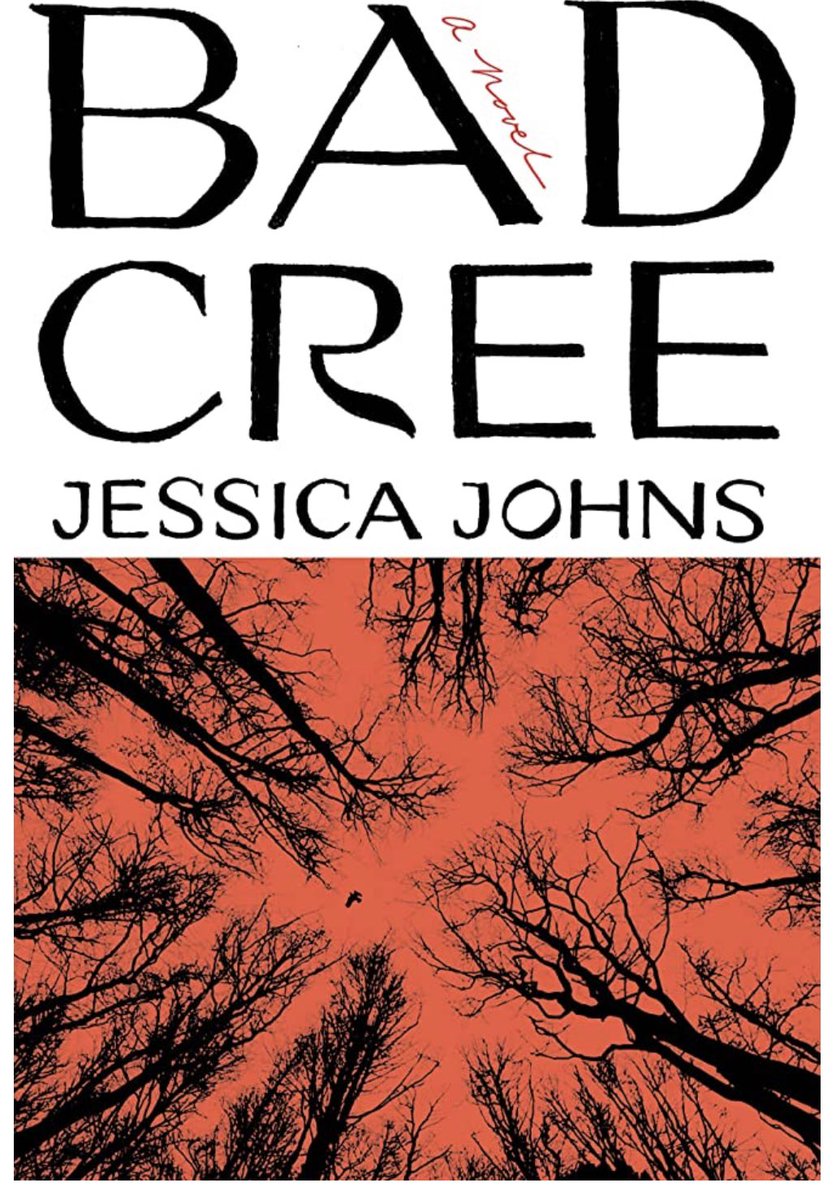 Finished reading #BadCree by #JessicaJohns and I highly recommend! It’s a fast read that demonstrates the strength of female family relationships through trying times. #LDSB #MyReadingLife