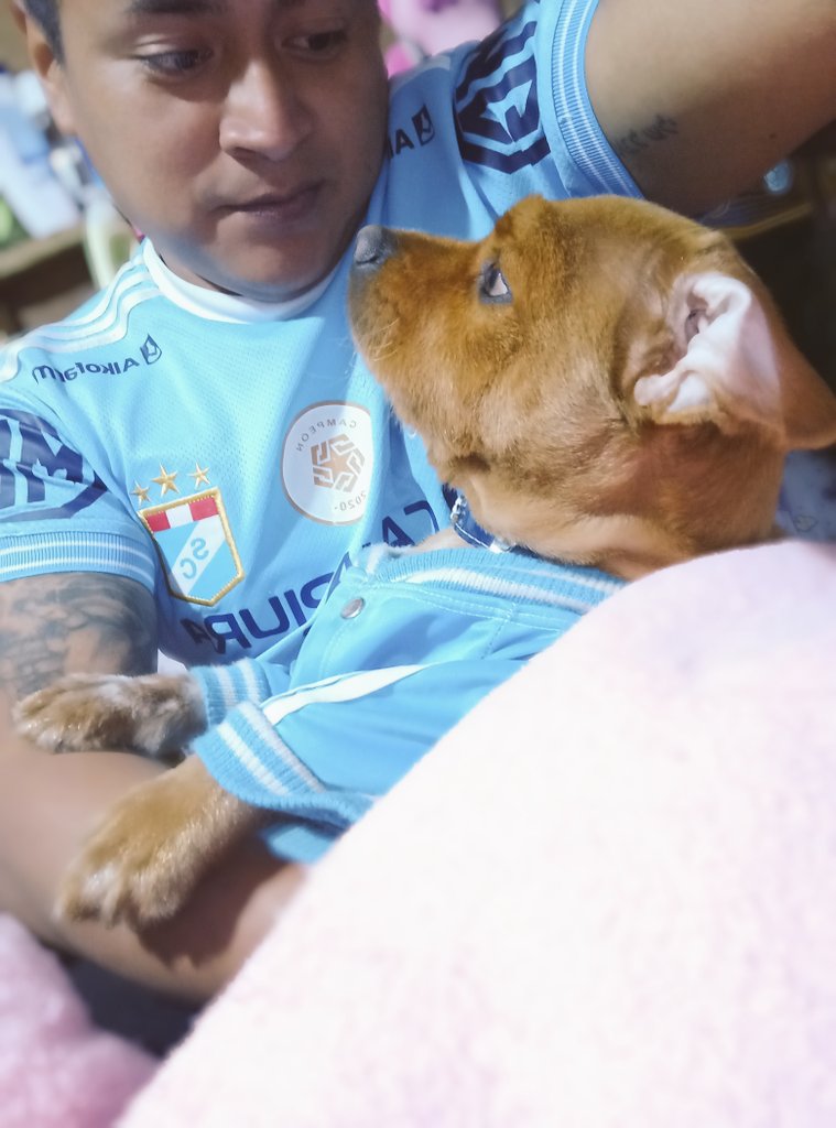 Felices por el triunfo de mi querido Sporting Cristal 💙 #sportingcristal