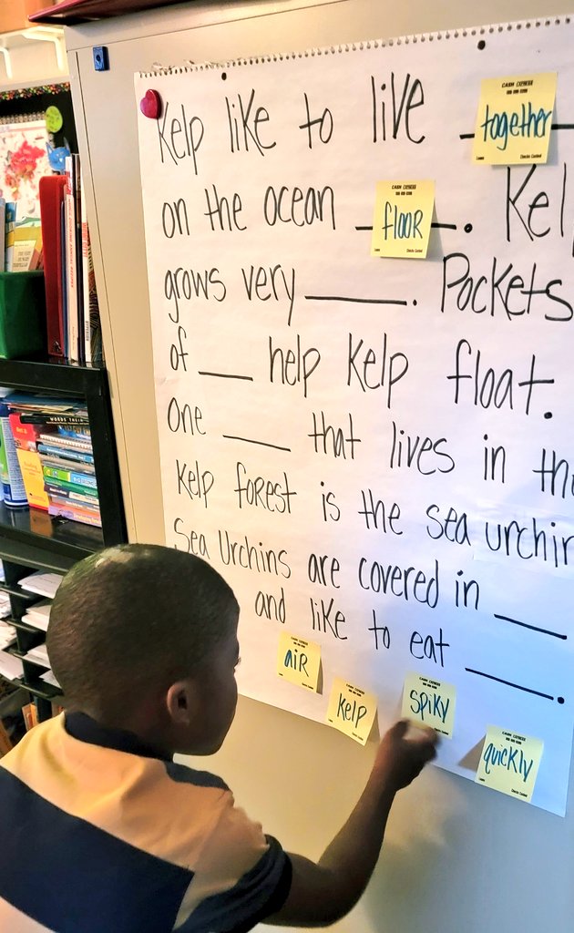 MrsSpillman1's tweet photo. Our Ocean Ecosystem project is starting to come together! Today, we began with a cloze read, followed up with a choral read, and ended with creating marine life for our ecosystems. I can't wait to see their finished projects! #BrightAtBriarwood https://t.co/Nb4I23vNiQ