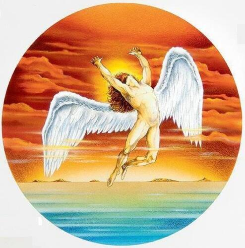 doyoubirddance's tweet photo. @thedollop @reynoldsgareth Are those hot dog wings on your shirt? all i see in my mind now is this with hot dog wings. Be free Dave. Van life has a shelf life and you should enjoy it before you begin to discover the unspoken horrors. https://t.co/wWOjd12FBY