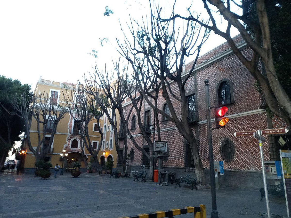 UNoticiasPuebla's tweet photo. #UltimoMomento
Por solo 36 mil pesos la empresa #SuacotlJardineríaMantenimiento taló 6 árboles en la Plaza de la Democracia
El responsable fue el #HotelColonial de #Puebla quién pagó por la "poda" que término en tala #Lamentable
Aquí la prueba @eduardorivera01 https://t.co/Gj91T1YT59