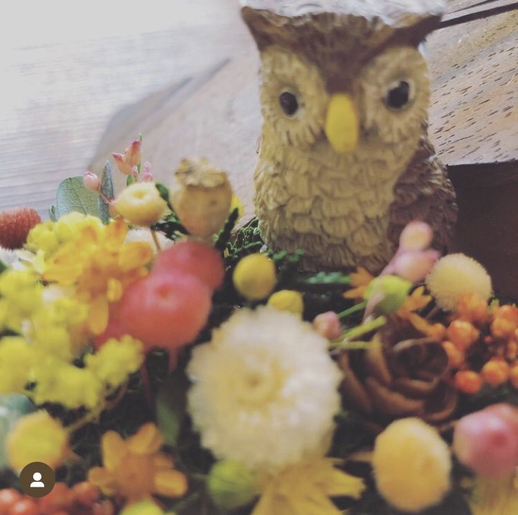 mixcafe4's tweet image. #MIXCAFE
の
#雑貨

#ドライフラワーアレンジメント

#deergarden さんが
#new を持ってきてくれました。