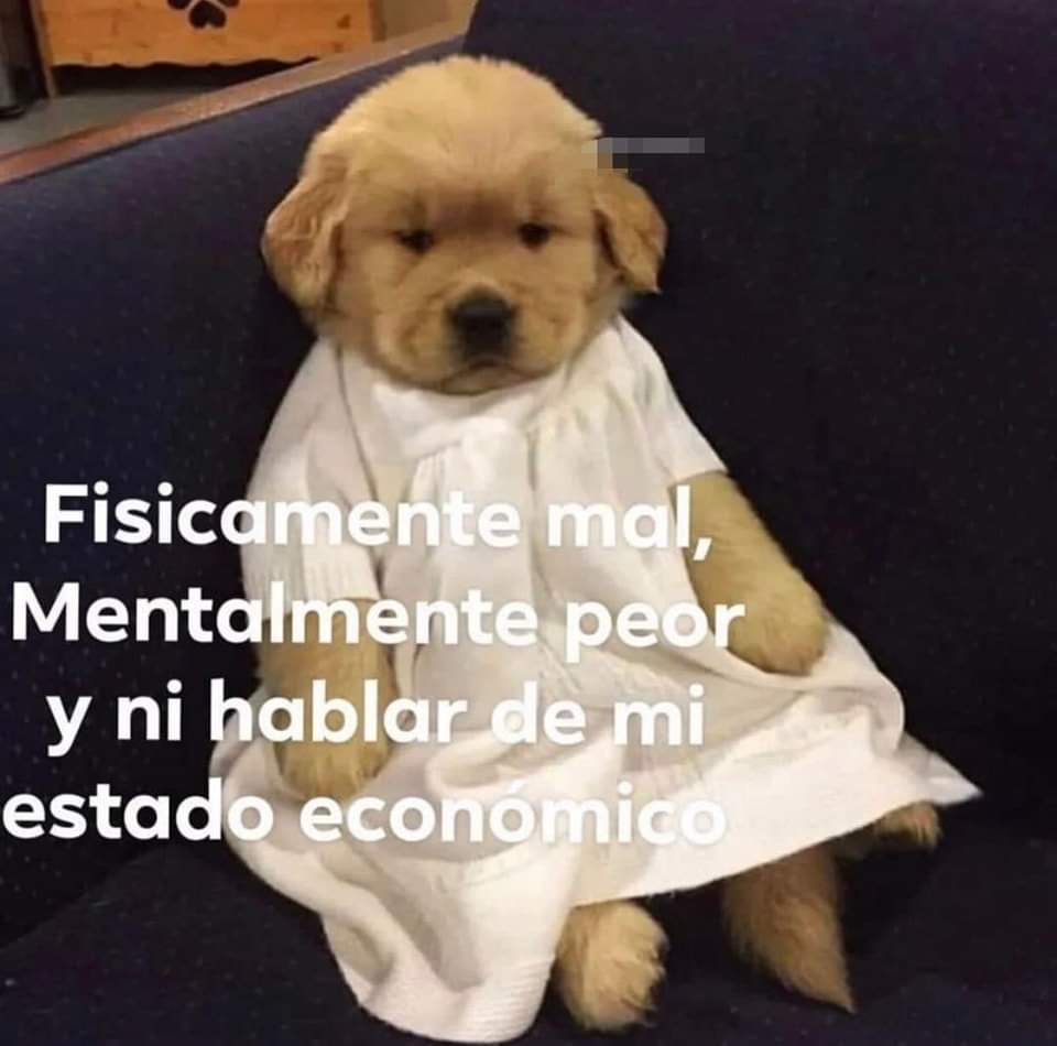 En_jupiter_'s tweet photo. Cansado de ser el mejor guerrero de alguien. https://t.co/EVYJiRvana
