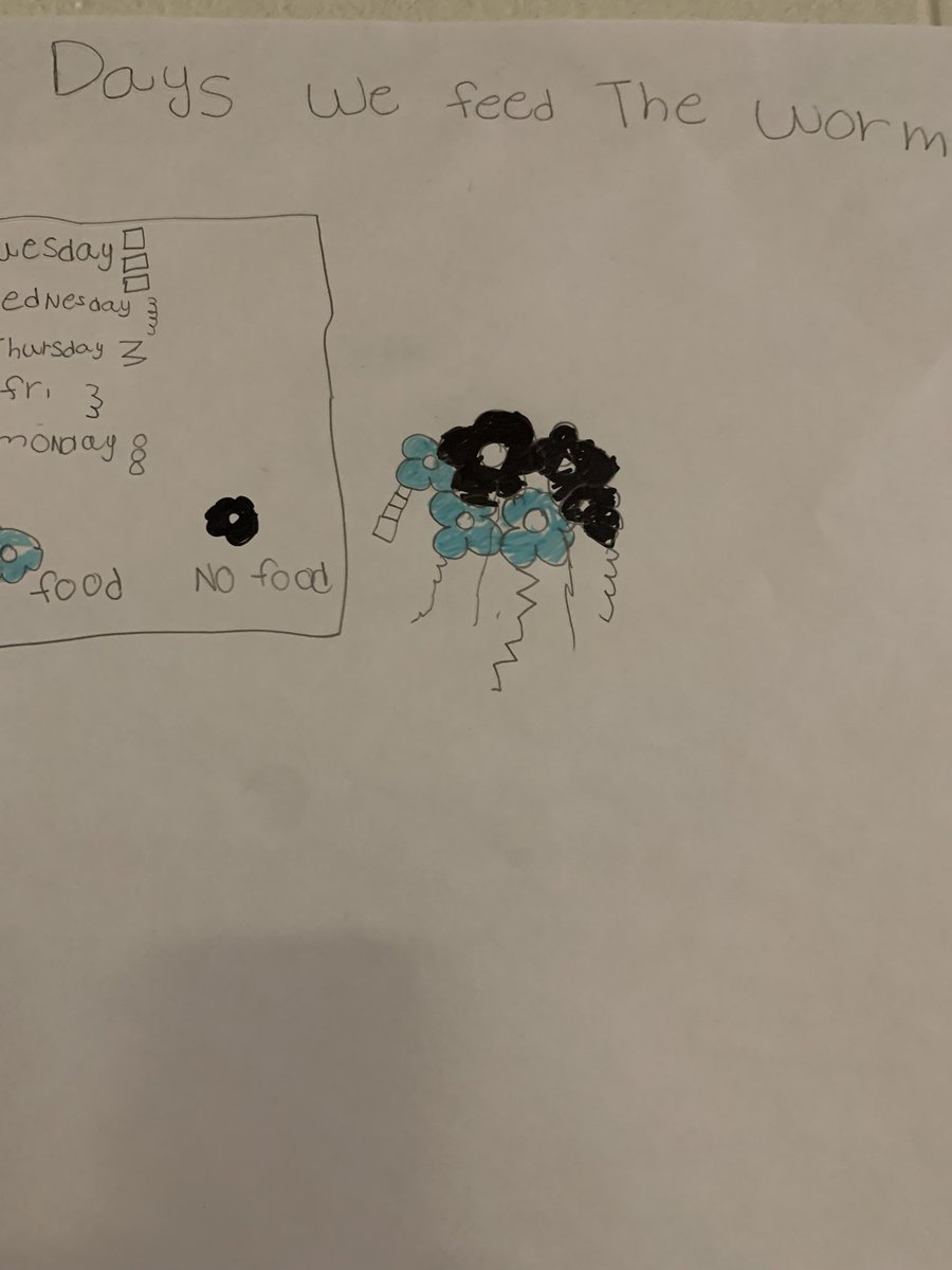 TammyOw1977's tweet image. First try at Dear Data- students used our worm data to create art displays. I am so proud of their card work! @OGESeagles @CherokeeSchools