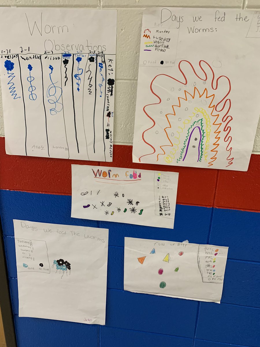 TammyOw1977's tweet image. First try at Dear Data- students used our worm data to create art displays. I am so proud of their card work! @OGESeagles @CherokeeSchools