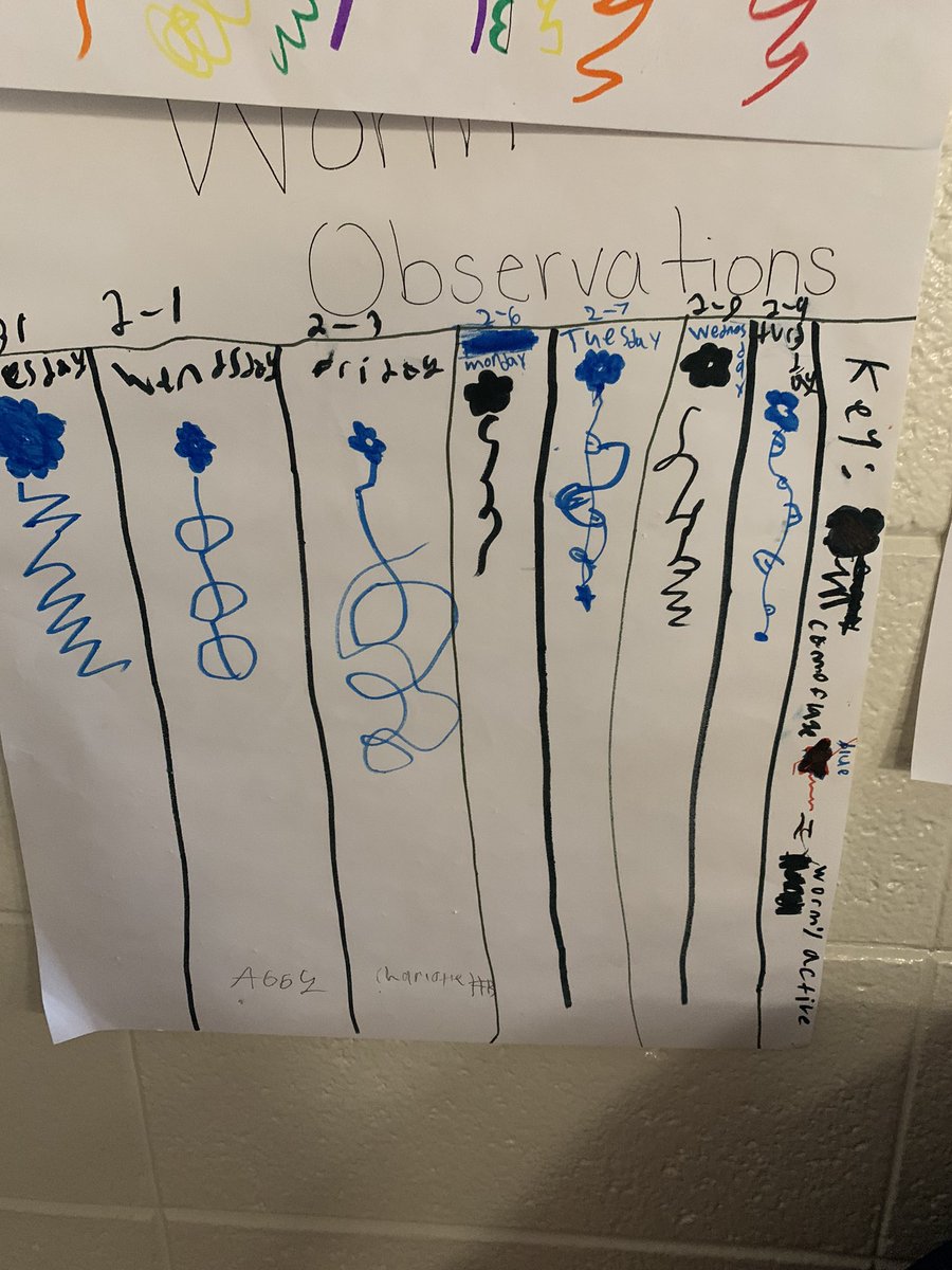TammyOw1977's tweet image. First try at Dear Data- students used our worm data to create art displays. I am so proud of their card work! @OGESeagles @CherokeeSchools