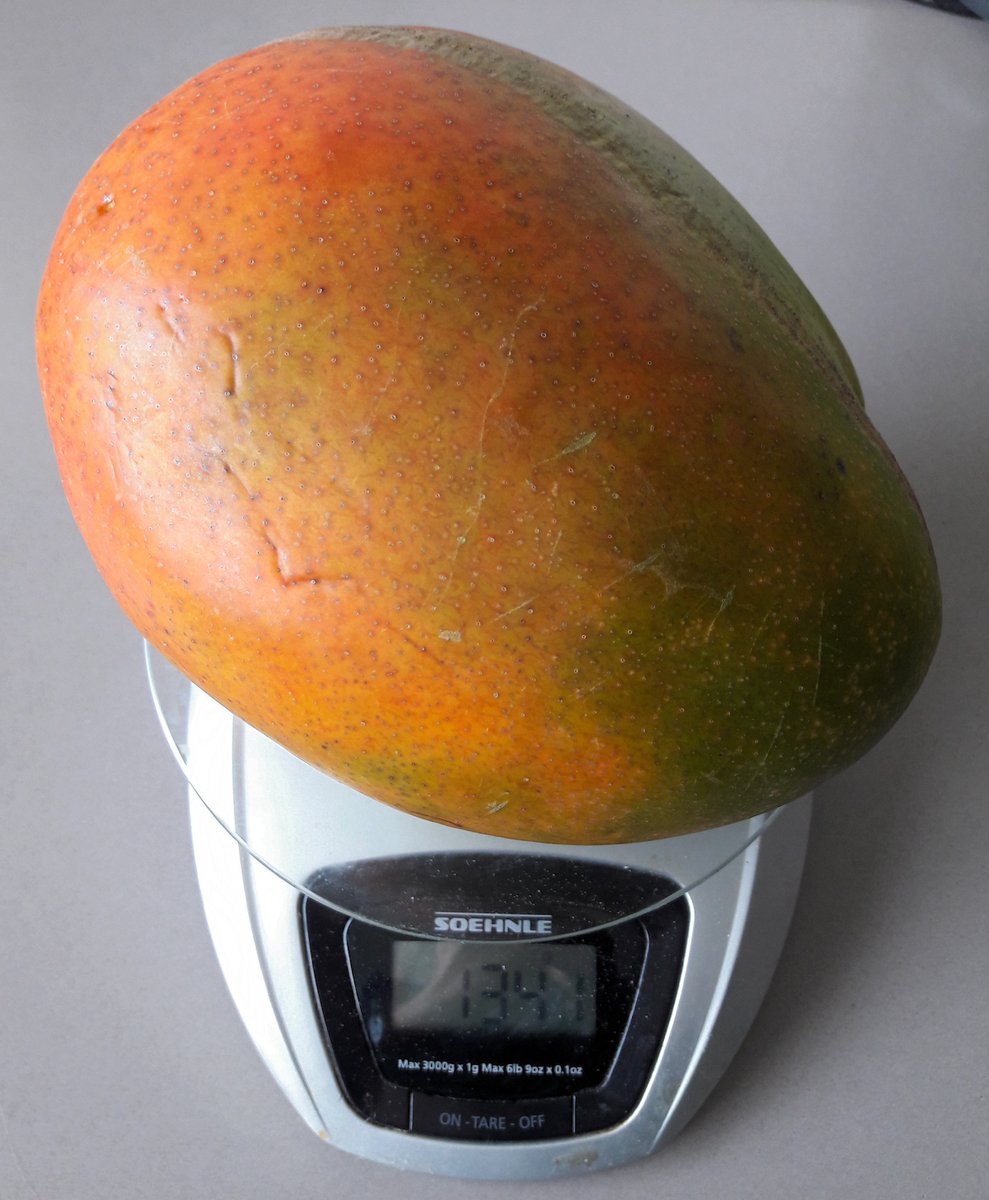 yungenchee.bsky.social tweet media