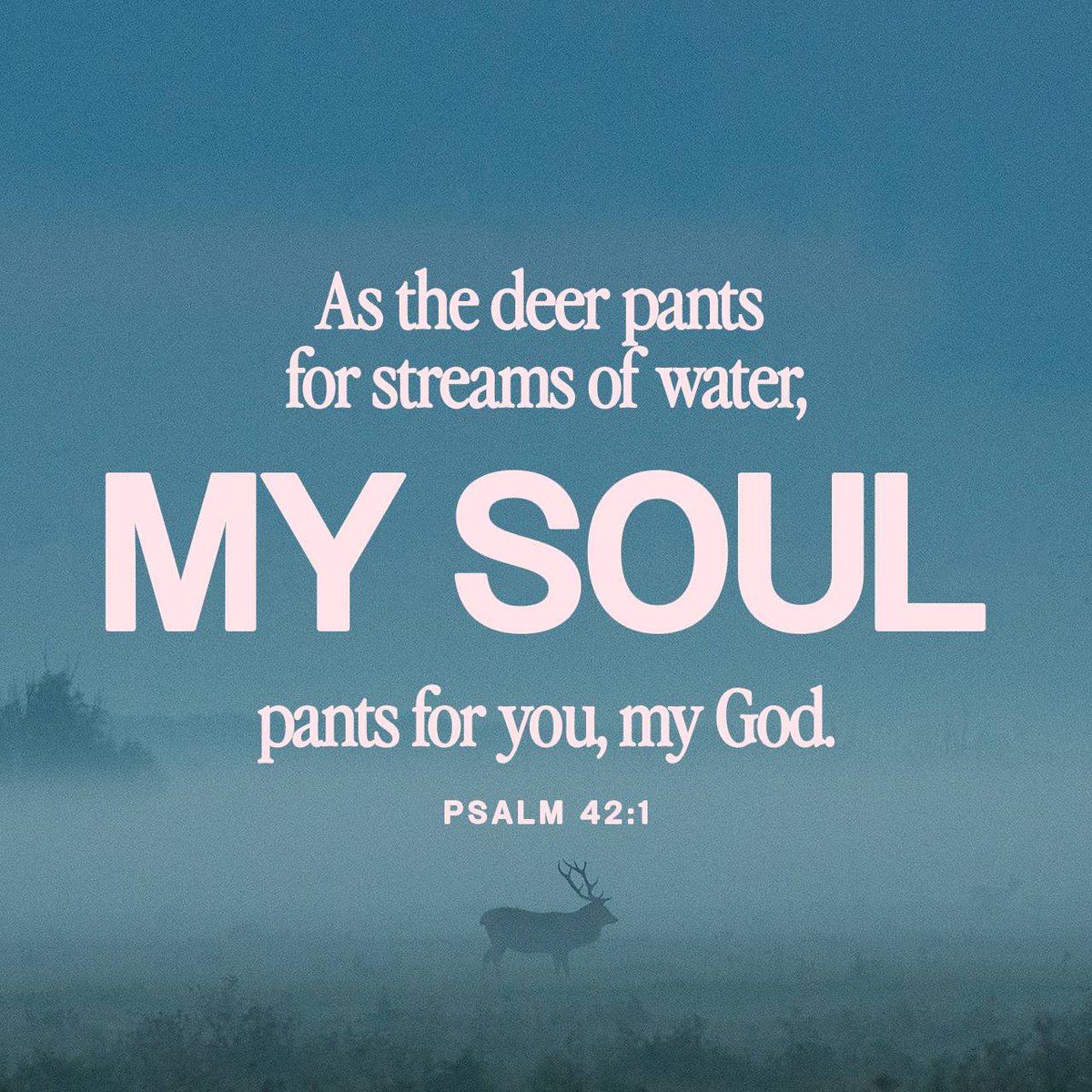 TheGodlyWisdom's tweet photo. Daily Verse - Psalm 42:1 https://t.co/BXGkOZm2Oq