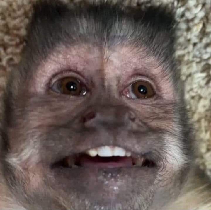 nxstypxet's tweet photo. Yo viendo la película de chuek en mi mente porque me la sé de memoria https://t.co/af2yDg8oZn