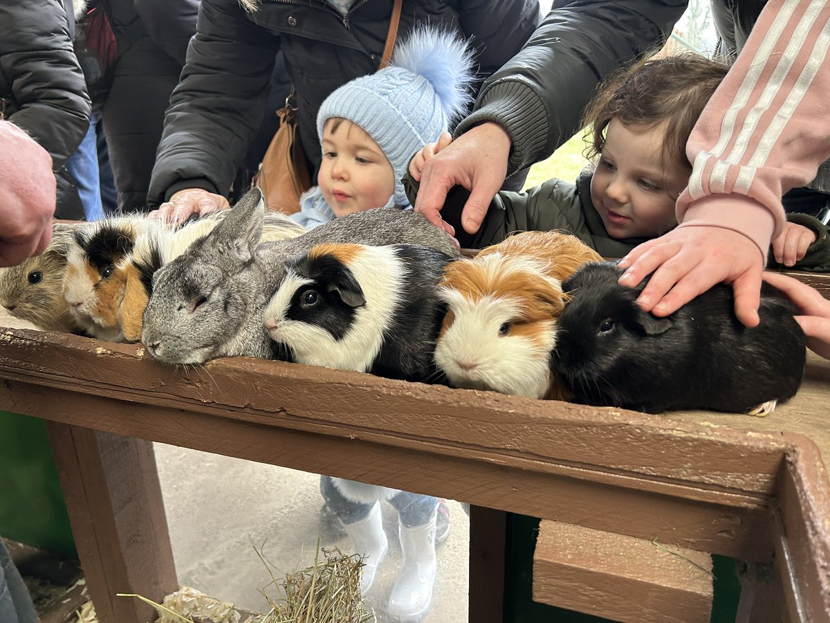 WildChildF0rest's tweet photo. The animal handling session at Briarlands Farm was brilliant. We learned lots of interesting facts about chickens, rabbits and Guinea Pigs. The children loved stroking the animals and feeding them.  #animalhandling #guineapigs #rabbit #petcare https://t.co/Wuf4sPhAjg
