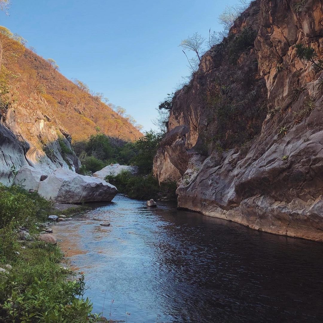 guanajuato's tweet photo. ¿Nadar en aguas cristalinas en #Xichú? 😯💦 Dentro de este municipio se encuentra Ojo de Agua, un paraíso incrustado en la Sierra Gorda de Guanajuato donde se esconde este precioso río en donde podrás venir a nadar y desconectarte de la rutina 🏊🏻👐🏼

📸 marcos.vlzqz https://t.co/RHfKP4ZxQa