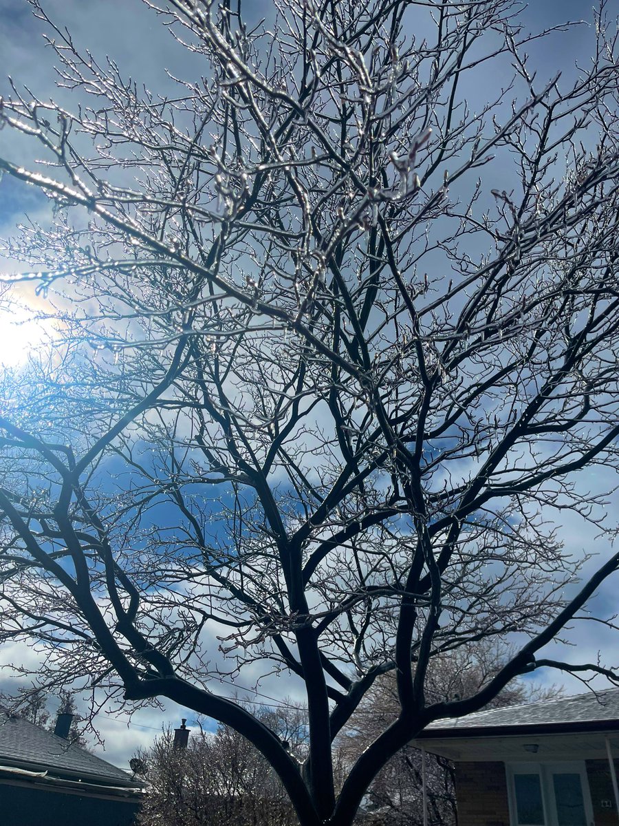 It was so majestic this morning!😍