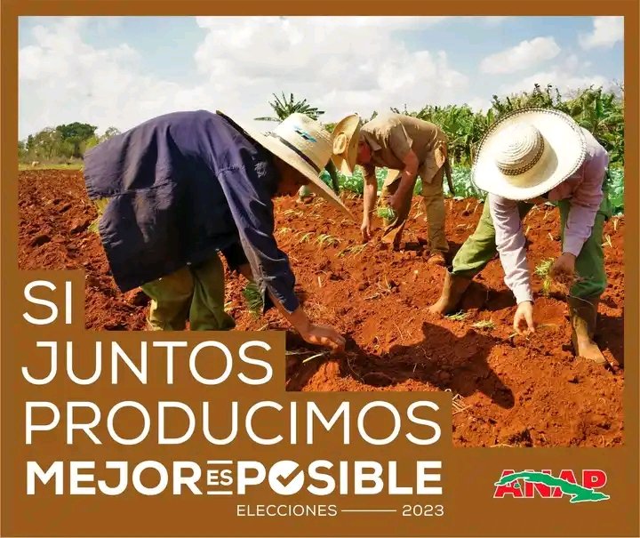 Darien Ricardo (@darienricardo1) on Twitter photo 