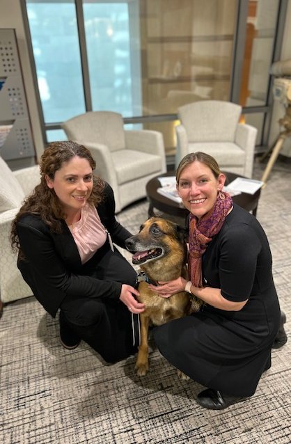 Marshall Legacy Institute tweet media