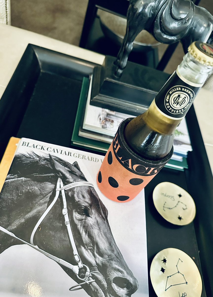 dom_long's tweet image. Off to the greatest racetrack in the world on a day named after one of the great horses in the world to see the no 1 sprinter in the world #blackcaviar #naturestrip #flemington #VRC