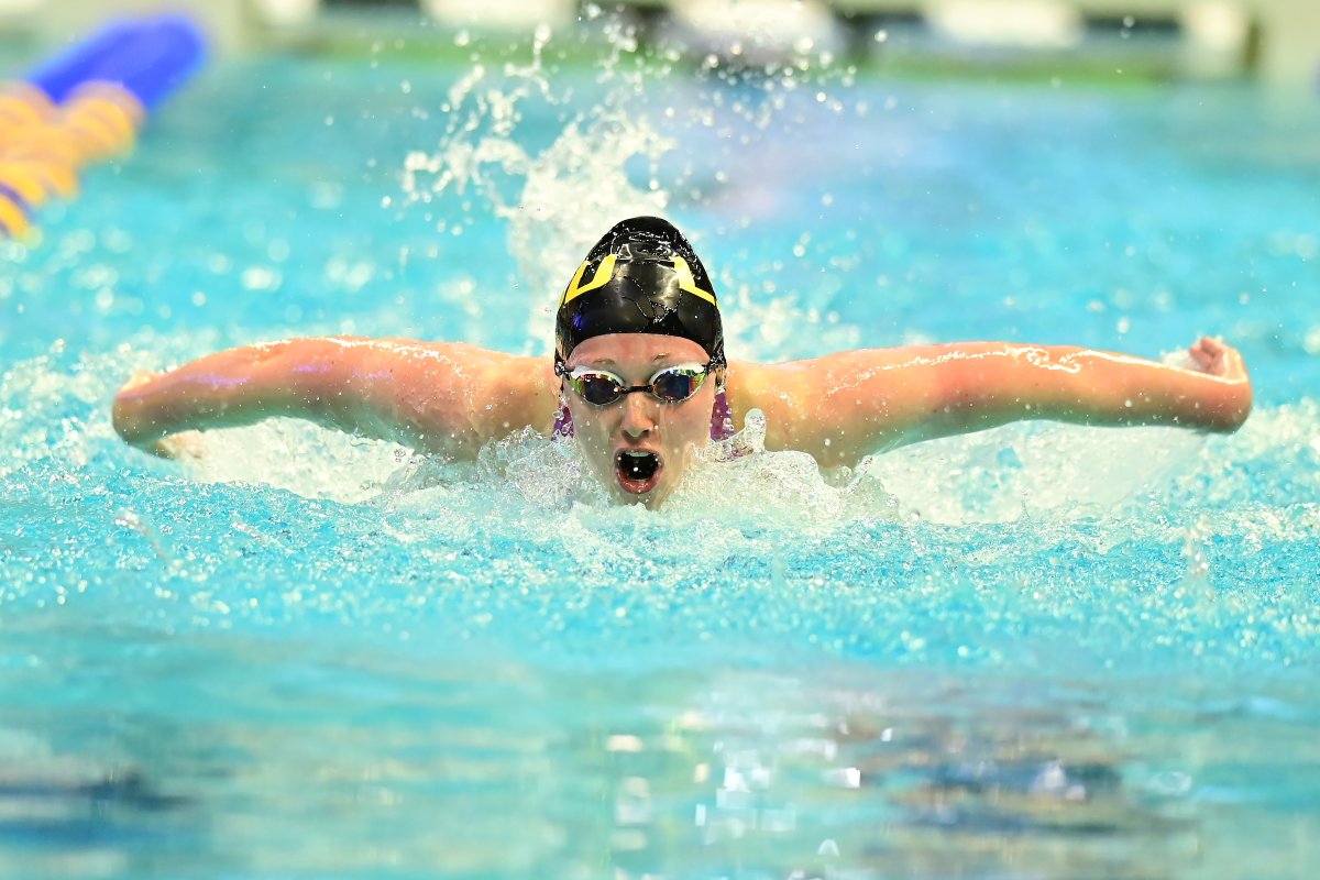 LSU Swimming & Diving tweet media