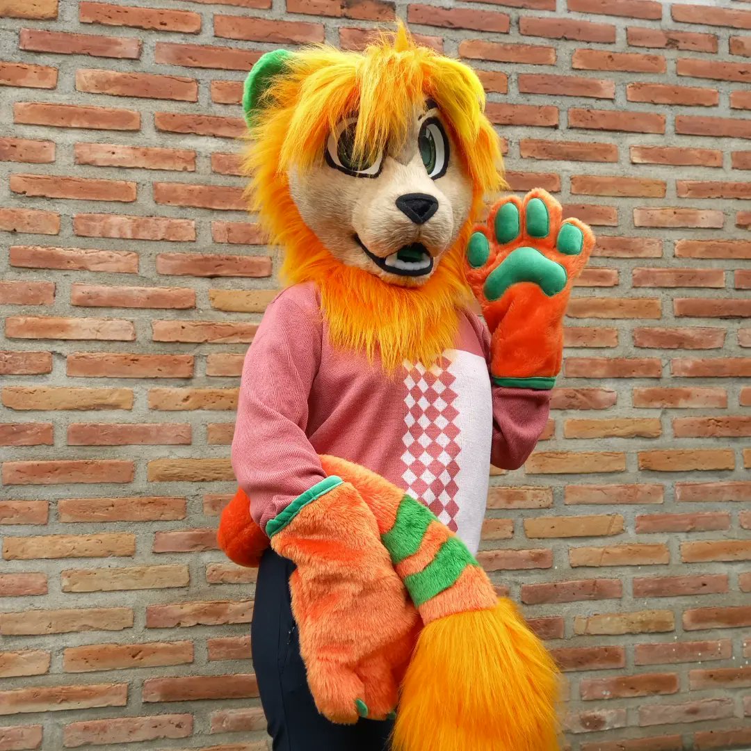 ChainaSilverfox's tweet image. This fursuit friday is born Marli the lion! 🦁🧡
Welcome to the Valley... of Fursuits!!! 
[Minipartial fursuit commission n°22]
-head lined inside
-paws with plush and inside lining
-tail with pompon 
-Velcro eyelids
-Tongue with velcro