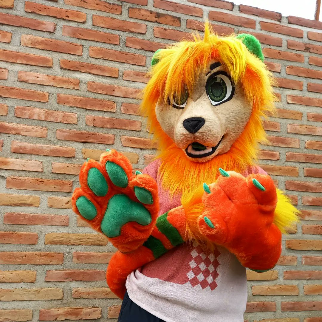 ChainaSilverfox's tweet image. This fursuit friday is born Marli the lion! 🦁🧡
Welcome to the Valley... of Fursuits!!! 
[Minipartial fursuit commission n°22]
-head lined inside
-paws with plush and inside lining
-tail with pompon 
-Velcro eyelids
-Tongue with velcro
