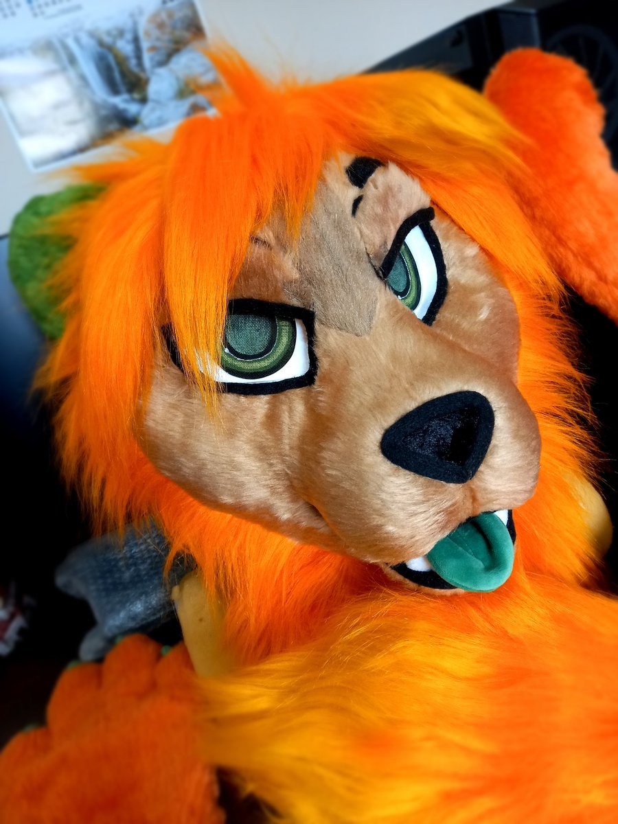 ChainaSilverfox's tweet image. This fursuit friday is born Marli the lion! 🦁🧡
Welcome to the Valley... of Fursuits!!! 
[Minipartial fursuit commission n°22]
-head lined inside
-paws with plush and inside lining
-tail with pompon 
-Velcro eyelids
-Tongue with velcro
