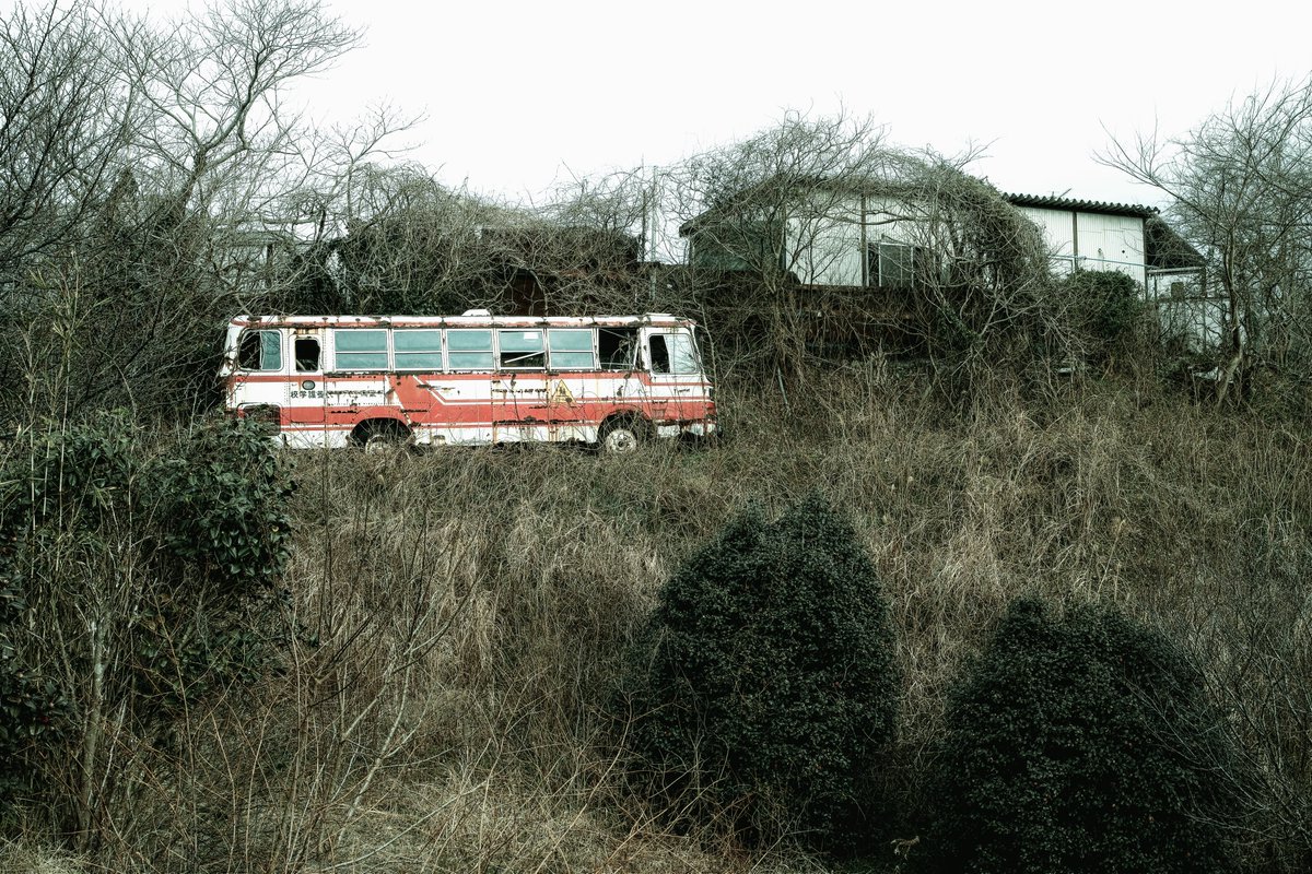 Miroku0310Rose's tweet image. 捨身のswitchが入り賭けてる

現し身

#現し身
#うつしみ
#mindscape
#dpmerrill