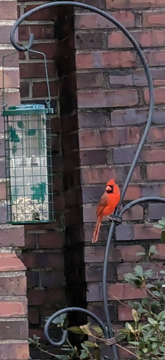 LauraBook5's tweet photo. #ouryard https://t.co/tW7Lsx88pn